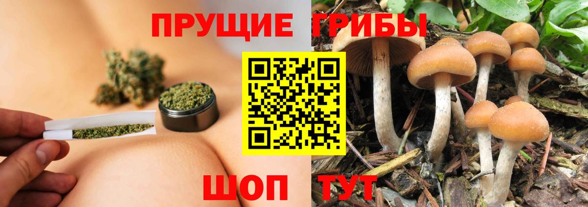 Галлюциногенные грибы Cubensis Азов