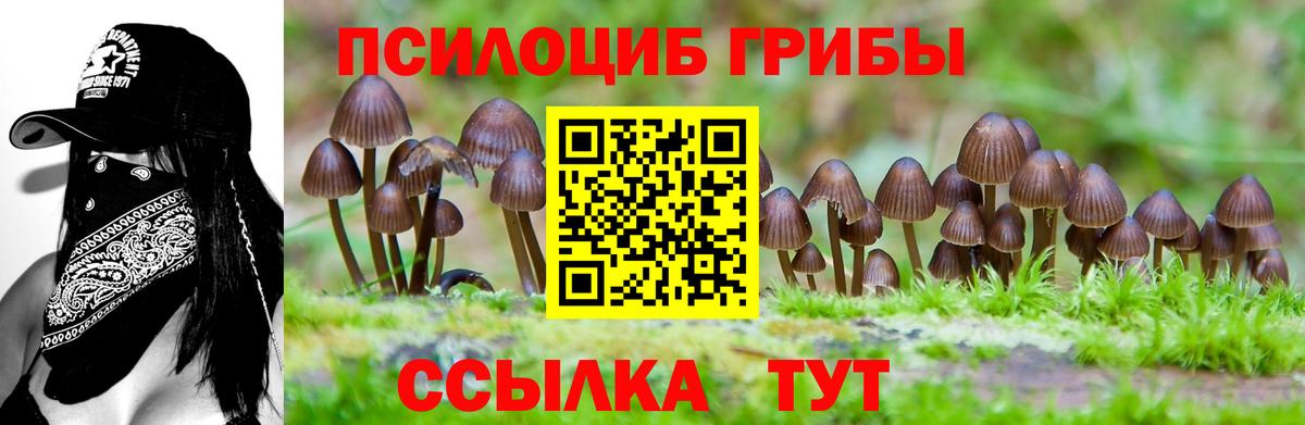 Азов  Псилоцибиновые грибы Magic Shrooms  Вход с VPN 